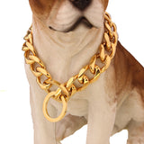 Stainless,Steel,Chain,Necklace,Collar,Puppy,Training