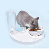 Automatic,Feeder,Waterer,Dispenser,Puppy,Drinking