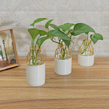 Metal,Ceramic,Flower,Garden,Plant,Succulent,Display,Stand,Holder,Vases,Decorations