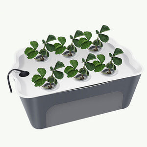Household,Holes,Hydroponic,Vegetable,Seedling,Soilless,Cultivation,Equipment,Automatic,Artifact,Flowerpot