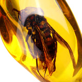 Beautiful,Amber,Hornet,Petrifaction,Insects,Manual,Polishing,Insect,Specimens,Decorations