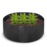 Garden,Raised,Plant,Flower,Planter,Elevated,Vegetable,Planting