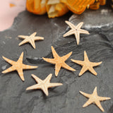 20Pcs,Starfish,Shell,Landscape,Beach,Wedding,Crafts,Making,Decorations