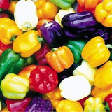 Egrow,Pimento,Seeds,Yellow,Sweet,Pepper,Bonsai,Vegetables,Paprika,Bonsai,Plant,Garden