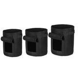 Gallon,Potato,Planting,Planter,Vegetable,Container,Garden,Seedling
