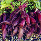 Egrow,Beetroot,Seeds,Beetroot,Plants,Green,Vegetable,Vulgaris,Bonsai,Plantas,Hardy,Vegetable