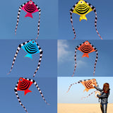 Swallow,Shape,Flying,Kites,Children,Summer,Outdoor,Sport,Games