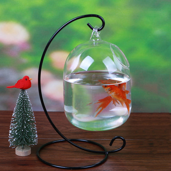 Aquarium,Glass,Hanging,Flower,Plant,Table,Height,Betta,Products