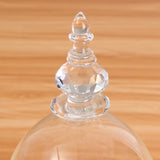 Glass,Display,Cloche,Wooden,Inspired,Beauty,Beast