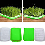 Soilless,Nursery,Culture,Beans,Hydroponic,Sprouter,Nursery,Hidroponia,Seedling,Garden,Supplies