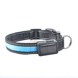 Smart,Solar,Power,Charging,Electronic,Flashing,Light,Nylon,Collar,Different