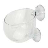 Shrimp,Aquatic,Plant,Crystal,Glass,Aquarium,Holder
