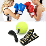 IPRee,Fight,Boxing,Speed,Training,Speed,Boxing,Target,Punch,Exercise