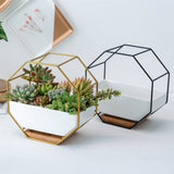 Wrought,Simple,Octagonal,Ceramic,Flower,Creative,Hanging,Succulent,Flower