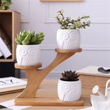 Succulent,Ceramic,Garden,Flower,Planter,Holder,Bamboo,Stand