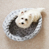 Knitted,Puppy,Pillow,House,House