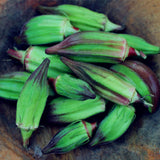 Egrow,Seeds,Organic,Vegetable,Flores,Garden,Potted,Plants