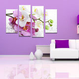 Miico,Painted,Combination,Decorative,Paintings,Botanic,Phalaenopsis,Decoration