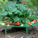 30*30CM,Strawberry,Growing,Support,Garden,Plant,Holder