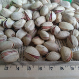 Egrow,Pistachios,Seeds,Garden,Outdoor,Fruit,Seeds,Planting