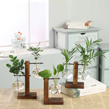 Terrarium,Glass,Hydroponic,Plant,Transparent,Flower,Wooden,Frame,Decorations