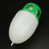 Water,Drink,Dispenser,Pigeon,Birds,Accessories,Canary,Water,Feeders,Decorations
