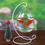 Aquarium,Glass,Hanging,Flower,Plant,Table,Height,Betta,Products