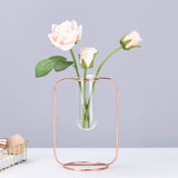 Glass,Glass,Container,Holder,Plants,Flowers,Decor