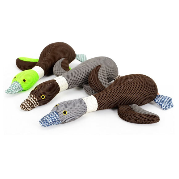 Cartoon,Canvas,Geese,Shaped,Sound,Squeaker,Squeaky