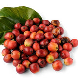 Egrow,Coffee,Beans,Seeds,Garden,Organic,Refreshing,Bonsai,Coffee,Plant