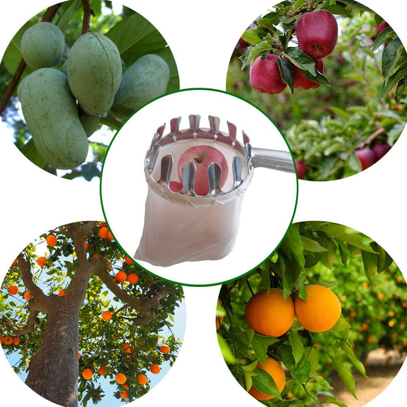 Plastic,Fruit,Picker,Catcher,Gardening,Garden,Hardware,Picking,Device,Tools