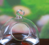 Aquarium,Glass,Hanging,Flower,Plant,Table,Height,Betta,Products