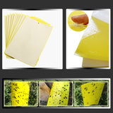 Sticky,Insect,Boards,Whitefly,Fruitfly,Leafminer,Control