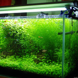 Egrow,Aquarium,Plants,Seeds,Artificial,Aquarium,Plant,Decoration,Submersible