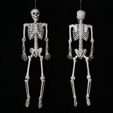 Human,Skeleton,Scary,Bones,Poseable,Hanging,Halloween,Party,Decorations