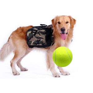 Squishy,Giant,Tennis,Chewing,Sport,Outdoor,Throw,Fetch