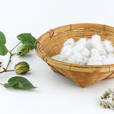 Egrow,White,Cotton,Seeds,Garden,Crops,Plants,Bonsai,Seeds