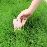 Egrow,Evergreen,Grass,Seeds,Evergreen,Grass,Semente,Plant,Evergreen,Garden,Grass