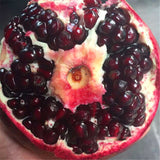 Egrow,Black,Pomegranate,Seeds,Garden,Delicious,Fruit,Bonsai,Seeds
