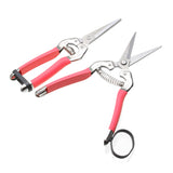 Garden,Pruning,Scissors,Plant,Cutter,Flower,Fruit,Grape,Scissors