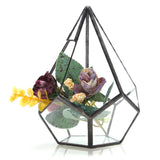 Succulent,Plant,Triangle,Greenhouse,Glass,Terrarium,Micro,Landscape,Glass,Bottle