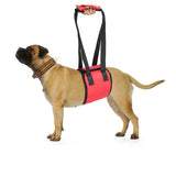 Waist,Harness,Harness,Protection,Nylon,Clasp,Protecting,Waist,Sport,Running,Leash,Product