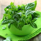 Egrow,Royal,Basil,Seeds,Indoor,Bonsai,Garden,Plant