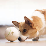Petgeek,Automatic,Rolling,Interactive,Exercise,Feeding,Xiaomi,Youpin