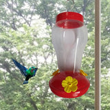 Water,Feeder,Bottle,Hanging,Hummingbird,Feeder,Garden,Outdoor,Plastic,Flower,Feeder