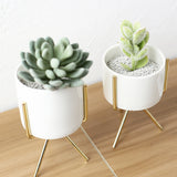 Display,Ceramic,Landscape,Shelf,Stand,Decor