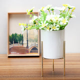 Ceramic,Flower,Plant,Succulent,Indoor,Garden,Display,Stand,Planter,Holder,Decor