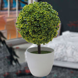 Office,Decorative,Trees,Potted,Plant,Potted,Decorative,Decoration