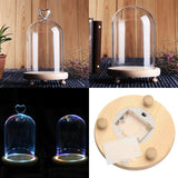 Clear,Glass,Display,Flower,Cloche,Wooden,Light,Decorations