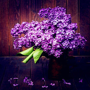 Egrow,Japanese,Lilac,Clove,Seeds,Garden,Perennial,Flowers,Aromatic,Bonsai,Plants,Seeds